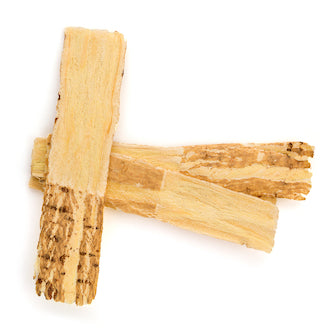 Uplift Florae Astragalus Superfood Ingredient