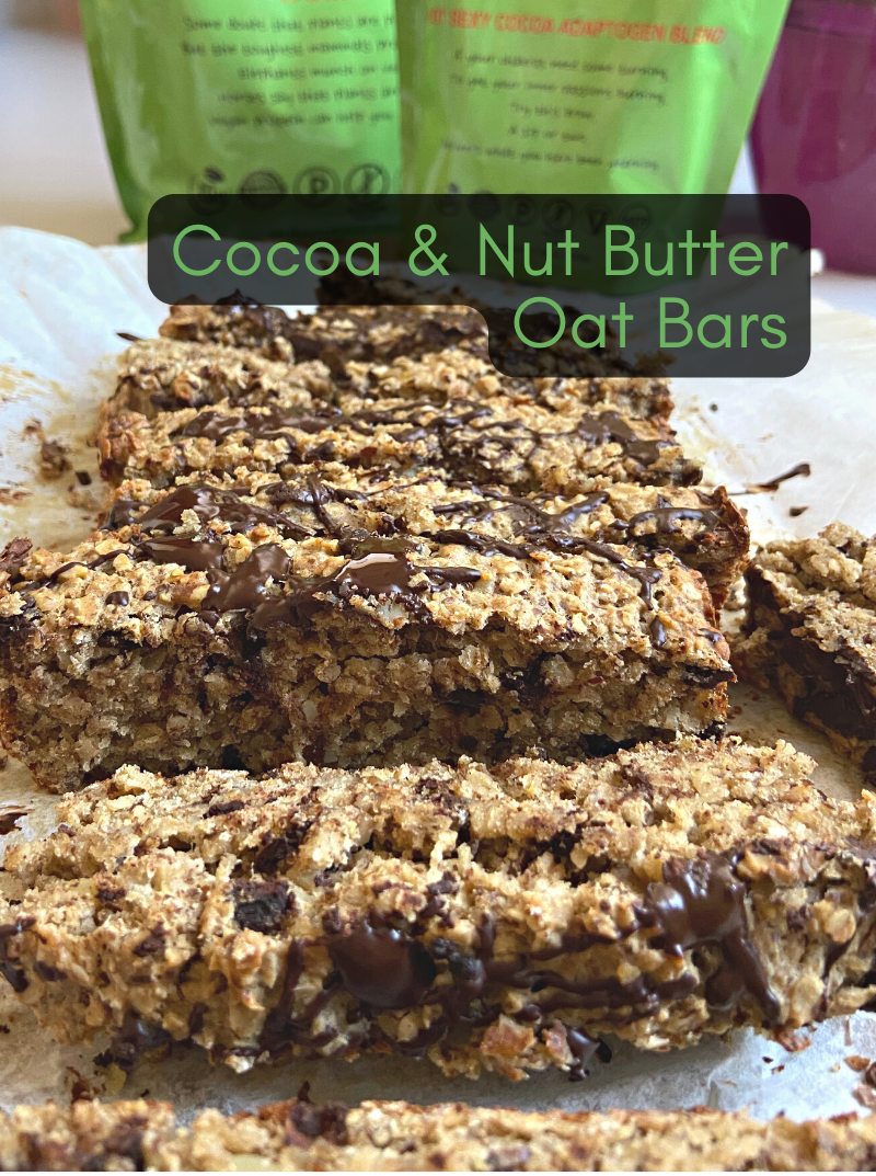 Chocolate Nut Butter Oat Bars