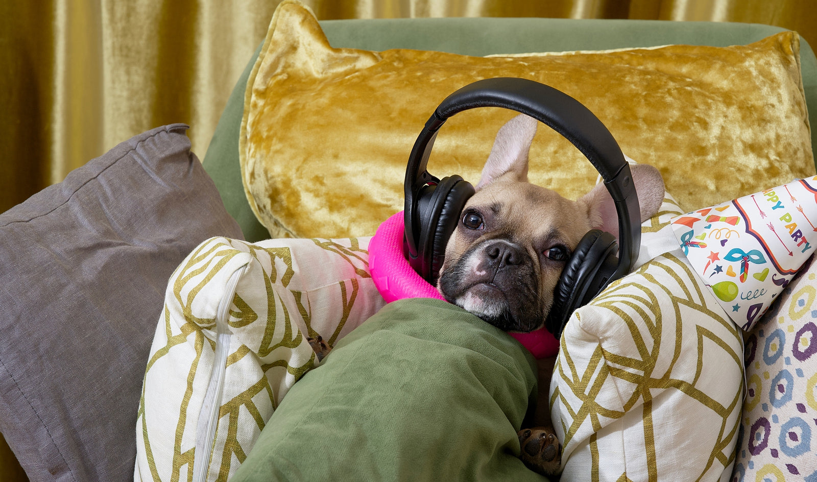 5 Science Backed Ways to Keep your Cool