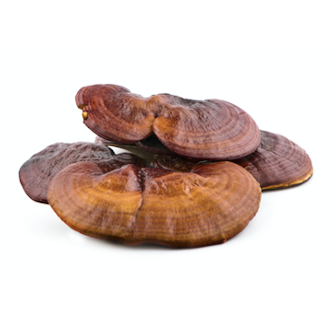 Uplift Florae Reishi Mushroom Ingredients