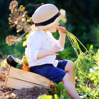 5 Superfoods to Enhance Your Vegan Lifestyle