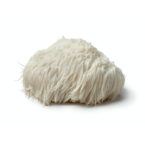 Lion’s mane is a whacky, shaggy mushroom. Researchers have concluded that the naturally occurring chemical compounds in lion’s mane are beneficial for brain function and memory. That’s why Uplift Florae uses this in our Lean Bean Power Coffee